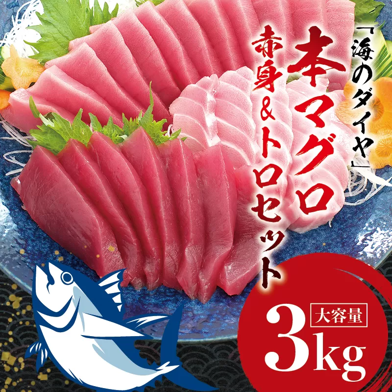 本マグロ（養殖）トロ＆赤身セット 3kg【１ヶ月以内に順次発送】 高級 クロマグロ 中トロ 中とろ まぐろ マグロ 鮪 刺身 赤身 柵 じゃばらまぐろ 本マグロ 本鮪