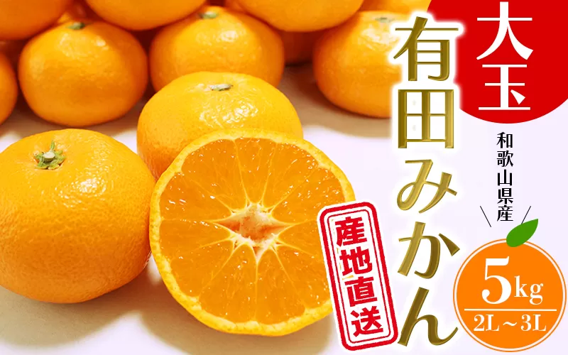 [先行予約]＼ みかんの名産地 和歌山県産/ 農家直送 大玉 有田みかん 5kg (2L〜3L) ひとつひとつ手選別で厳選[2025年11月下旬から1月頃に順次発送予定]