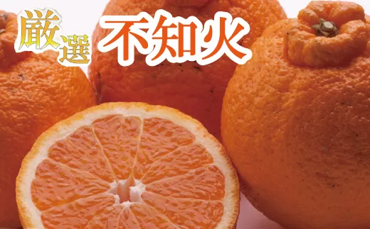 [2月より発送]厳選不知火2.5kg+250g(傷み補償分)[デコポンと同品種・人気の春みかん]/柑橘 果物 フルーツ みかん デコポン [ikd052D]