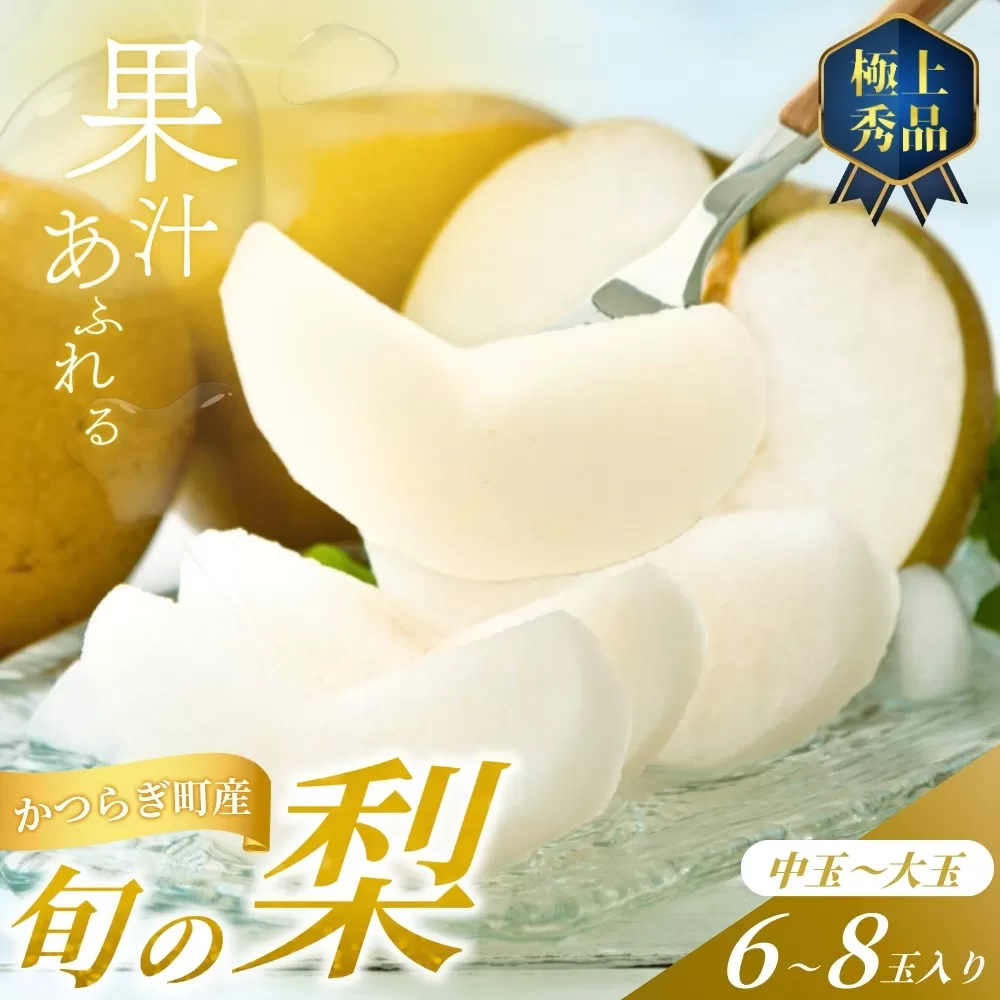 【先行予約】旬の梨(幸水ー豊水ーあきづき) 極上秀品（中玉〜大玉）6〜8個入り 2025年8月下旬〜2025年9月下旬頃に順次発送予定（お届け日指定不可）/ 和歌山 梨 フルーツ 果物 くだもの【kgr015】