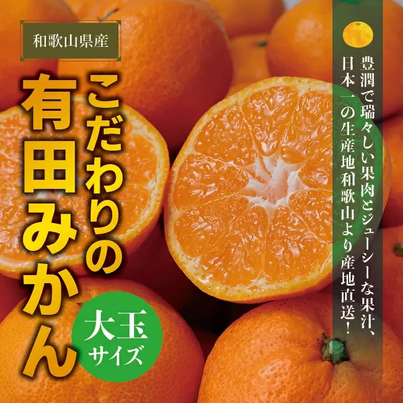 [農家直送]有田みかん 約10kg 大玉3L以上 有機質肥料100% ※2026年11月〜12月に順次発送(お届け日指定不可)/みかん ミカン 温州みかん 柑橘 有田 和歌山 産地直送
