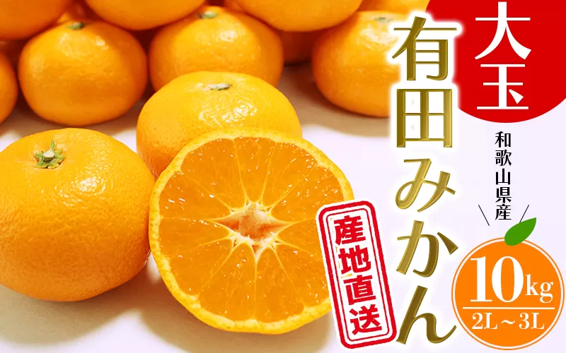 【先行予約】 ＼ みかんの名産地 和歌山県産／ 農家直送 大玉 有田みかん 10kg （2L〜3L） ひとつひとつ手選別で厳選【2025年11月下旬から1月中旬に順次頃発送予定】