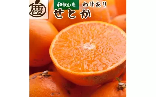 ＜先行予約＞家庭用 せとか2.5kg+250g（傷み補償分）【柑橘・春みかんの王様】【わけあり・訳あり】【光センサー選果・食べ頃出荷】【ikd236】