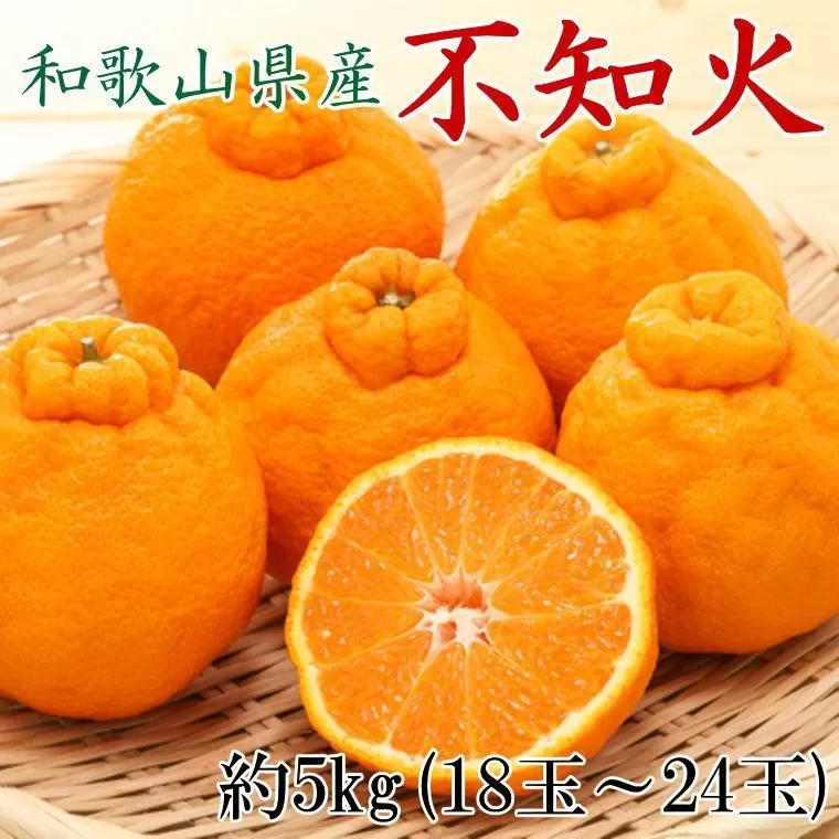 和歌山県産不知火約5kg（18玉〜24玉おまかせ）L〜3Lサイズ★2026年2月下旬頃より順次発送［TM159］