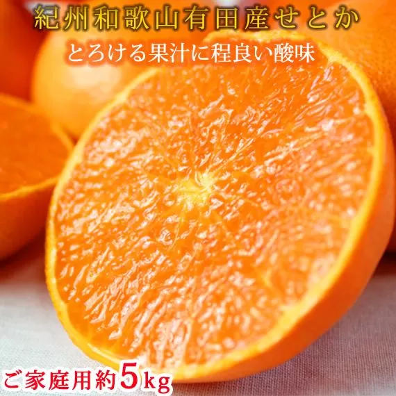 紀州有田産せとか約5kg ［ご家庭用］とろける食感！ジューシー柑橘［2026年2月上旬以降発送］［UT90］