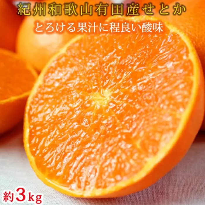紀州有田産せとか約3kg　とろける食感！ジューシー柑橘［2026年2月下旬以降発送］［先行予約］［UT03］