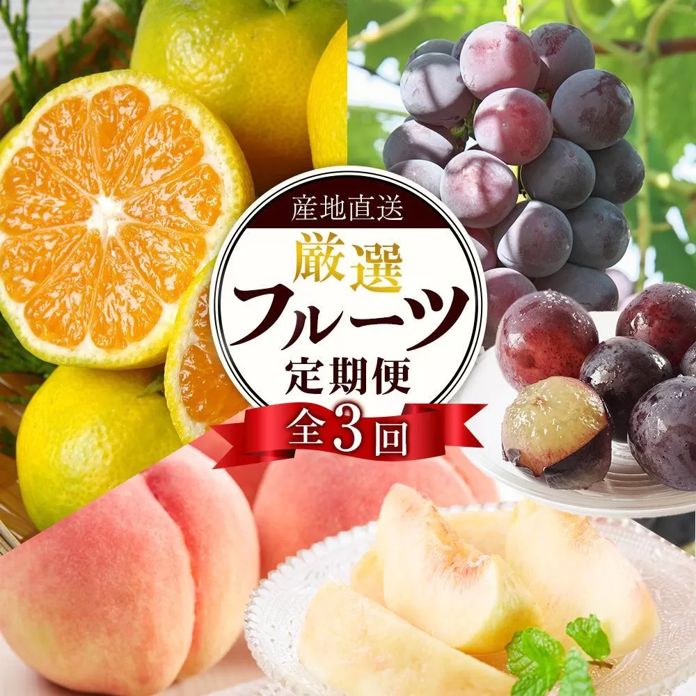 【定期便全3回】産直・厳選フルーツ定期便【TM190】