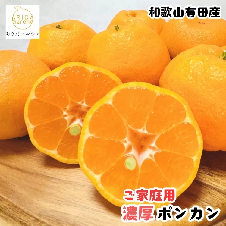［先行予約］極甘 柑橘 有田育ちの 濃厚 ポンカン（家庭用）5kg［MS45］