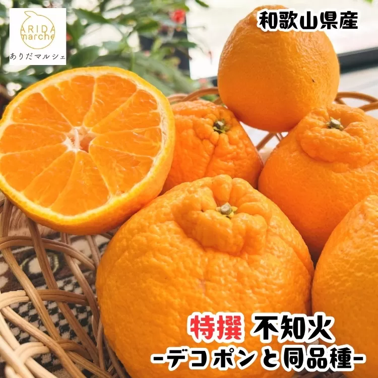 ［先行予約］特選 濃厚 不知火 1kg［MS141］