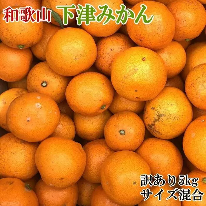 【訳あり】和歌山下津みかん約5kgご家庭用向け(サイズ混合) ★2025年11月中旬頃より順次発送［TM77］