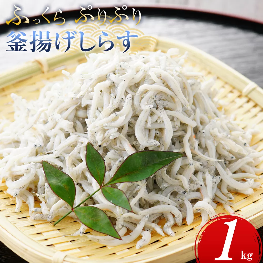 ふっくら、ぷりぷり 釜揚げ しらす 1kg(500×2パック)
