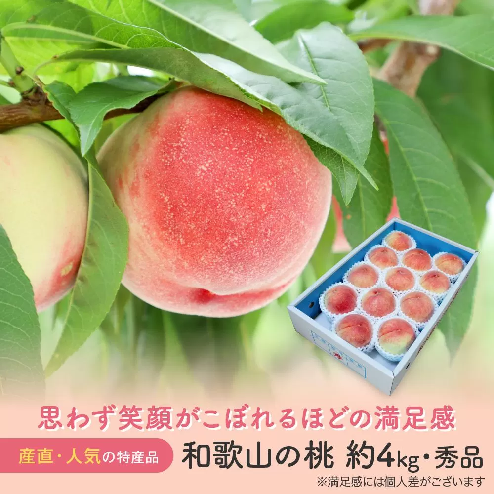 【産直・人気の特産品】和歌山の桃　約4kg・秀選品★2025年6月下旬～8月上旬頃順次発送★【TM168】