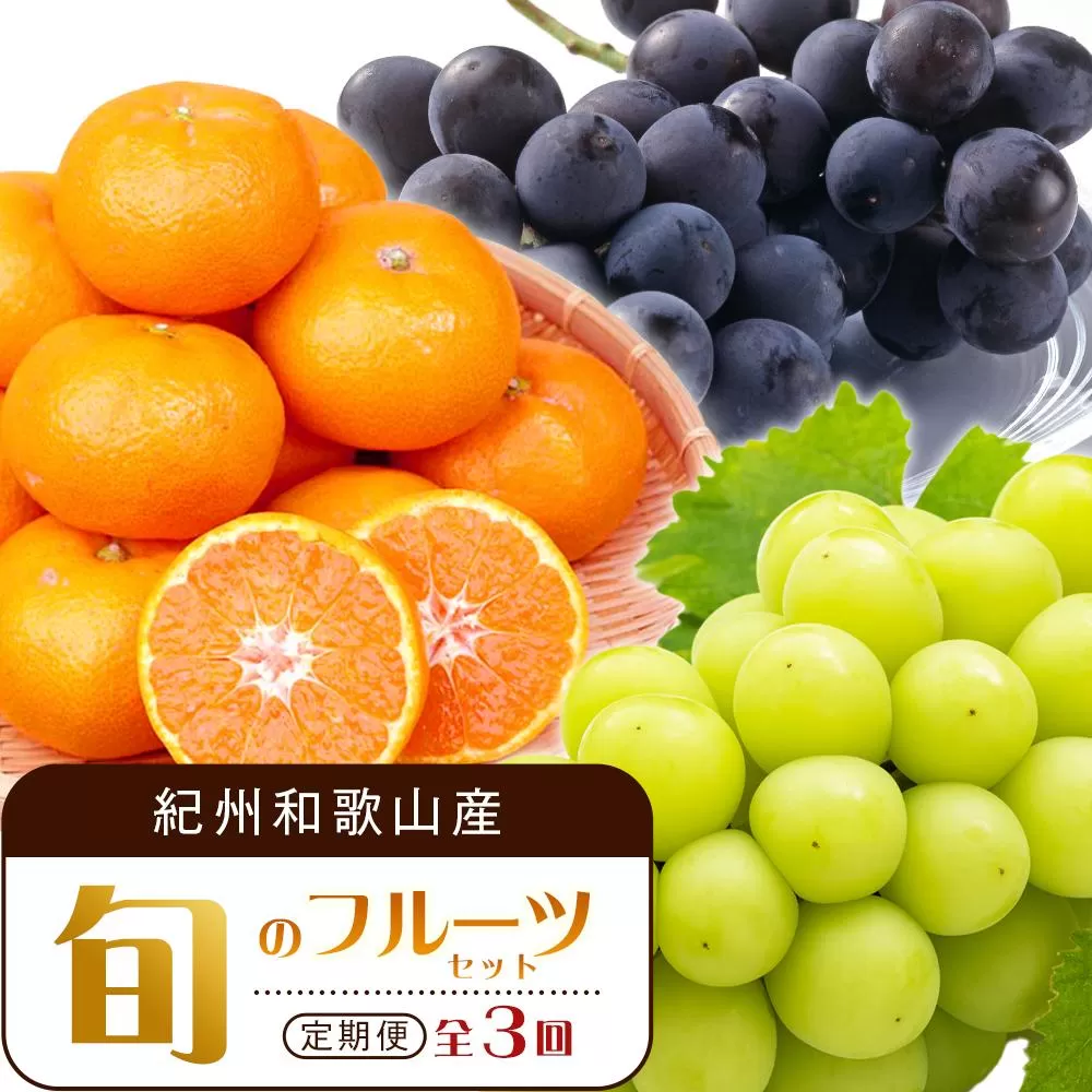 【8・9・12月 全3回 定期便 】紀州和歌山産旬のフルーツセット（種なし巨峰・シャインマスカット・みかん）【UT122】