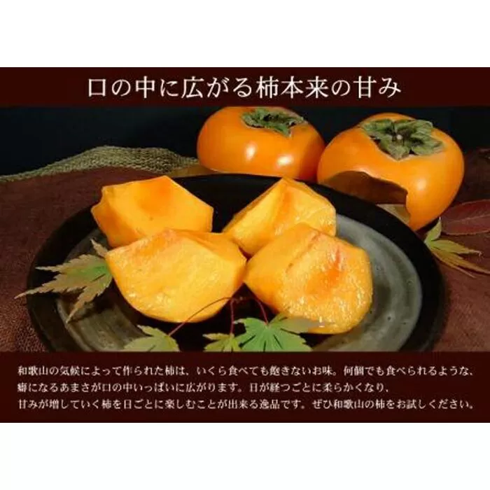 和歌山の種なし柿　約7.5kg（秀品：サイズ・品種おまかせ）／紀伊国屋文左衛門本舗［TC4］