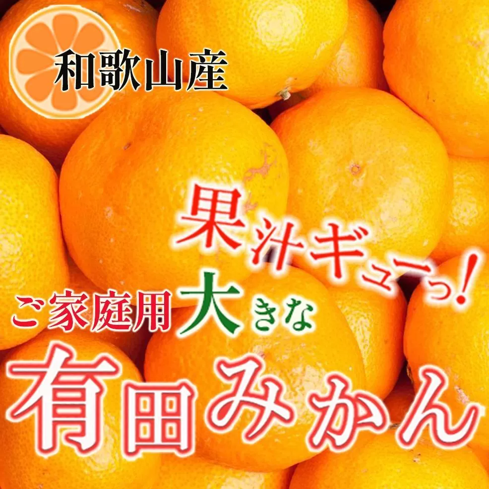 家庭用 大きな有田みかん10kg+250g（傷み補償分）［2025年11月中旬から2026年1月下旬頃順次発送予定］［IKE243］