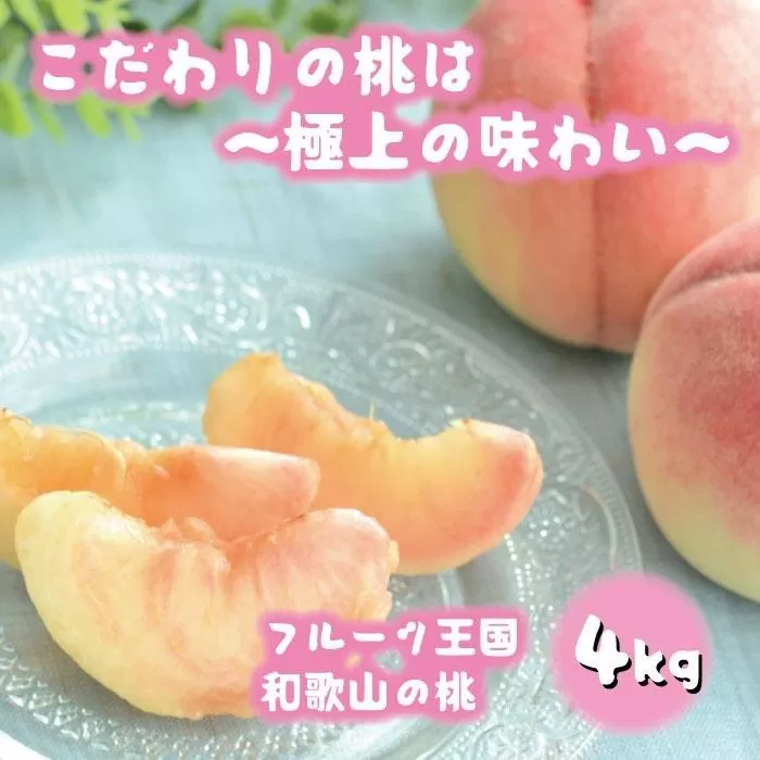 フルーツ王国 和歌山 の 桃 約4kg（fr-07）_ 先行予約 2026年6月中旬から7月下旬発送［MS108］