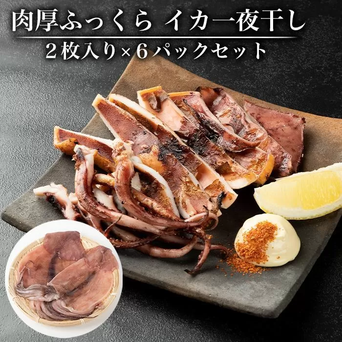 肉厚ふっくら　イカ一夜干し２枚入り×６パックセット