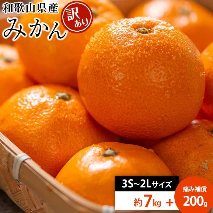 和歌山県産 糖度9.5度 以上 訳あり みかん 7kg 傷み補償+200g 3S 〜 2Ｌサイズ混合【MG58】