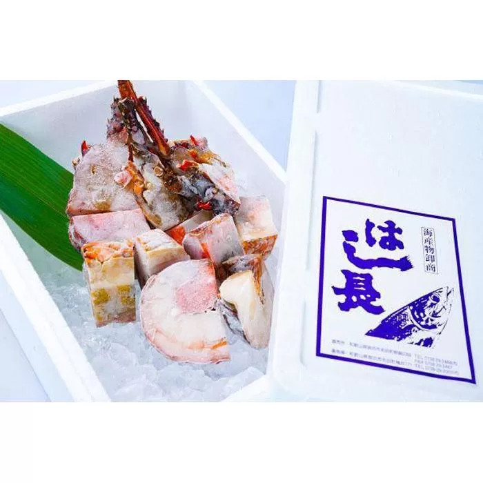 冷凍伊勢海老カット約1kg（サイズ不揃い）