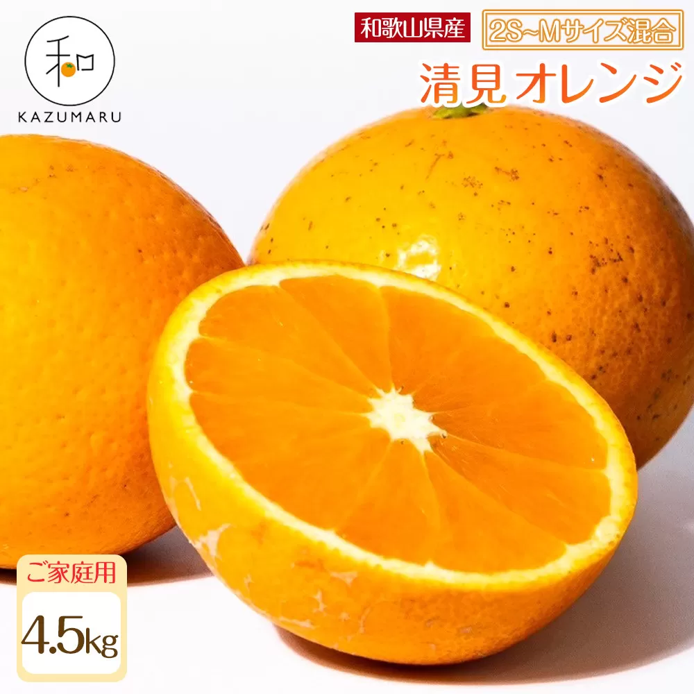 家庭用 森本農園の手選別 小粒清見オレンジ 約4.5kg 和歌山県産 2S〜Mサイズ混合 ［北海道・沖縄・離島配送不可］［2026年2月上旬から5月中旬頃順次発送予定］［RN92］