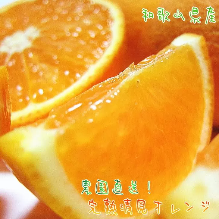 有田育ちの 完熟 清見 オレンジ（ご家庭用）約10kg［先行予約］［MS35］