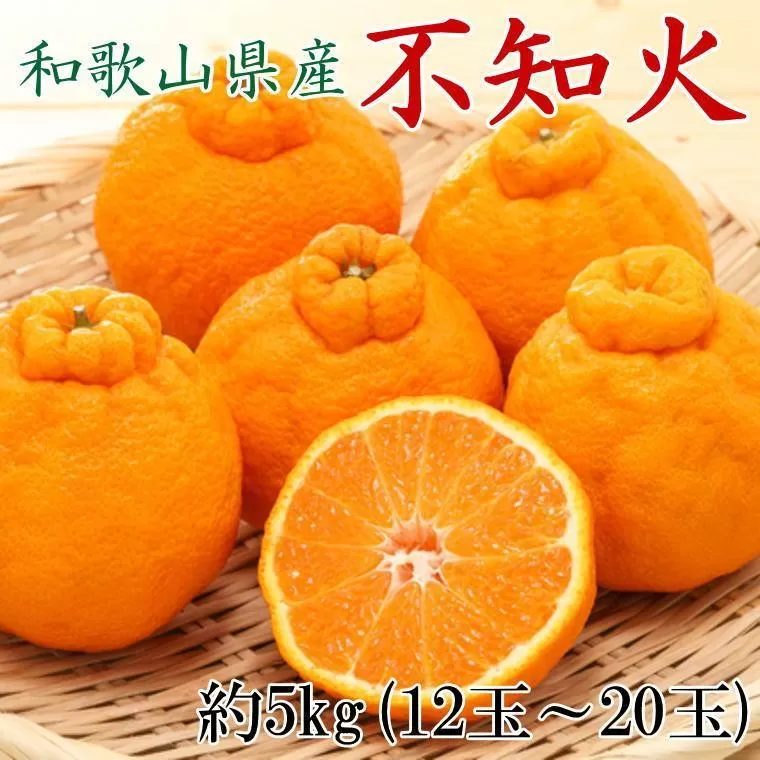 和歌山県産不知火約5kg（12玉〜20玉おまかせ）2L〜5Lサイズ★2026年2月下旬頃より順次発送［TM131］