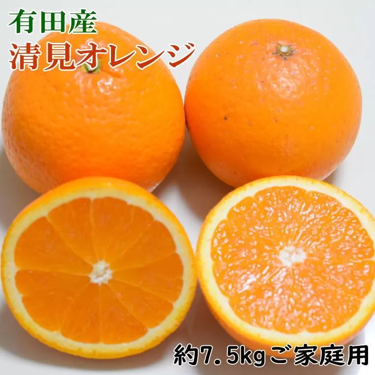 ［濃厚］有田産清見オレンジ約7.5kg(サイズおまかせ、または混合)ご家庭用★2026年2月中旬頃より順次発送［TM46］