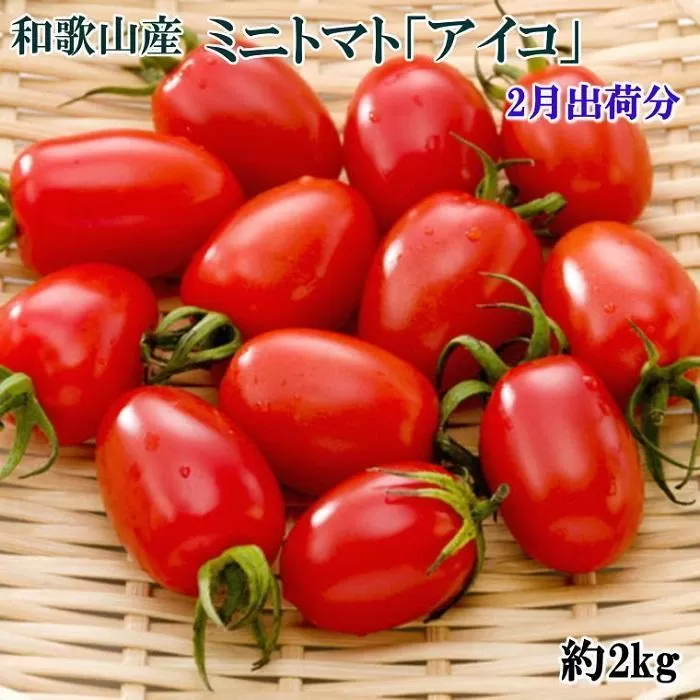 ［2月出荷分］ミニトマト「アイコトマト」約2kg（S・Mサイズおまかせ）［TM110］