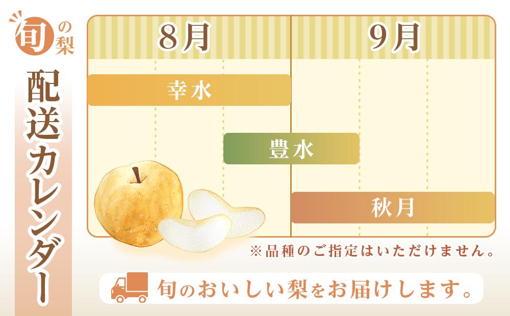 和歌山県産 旬の梨 3玉（4Lサイズ） 【2024年8月中旬以降順次