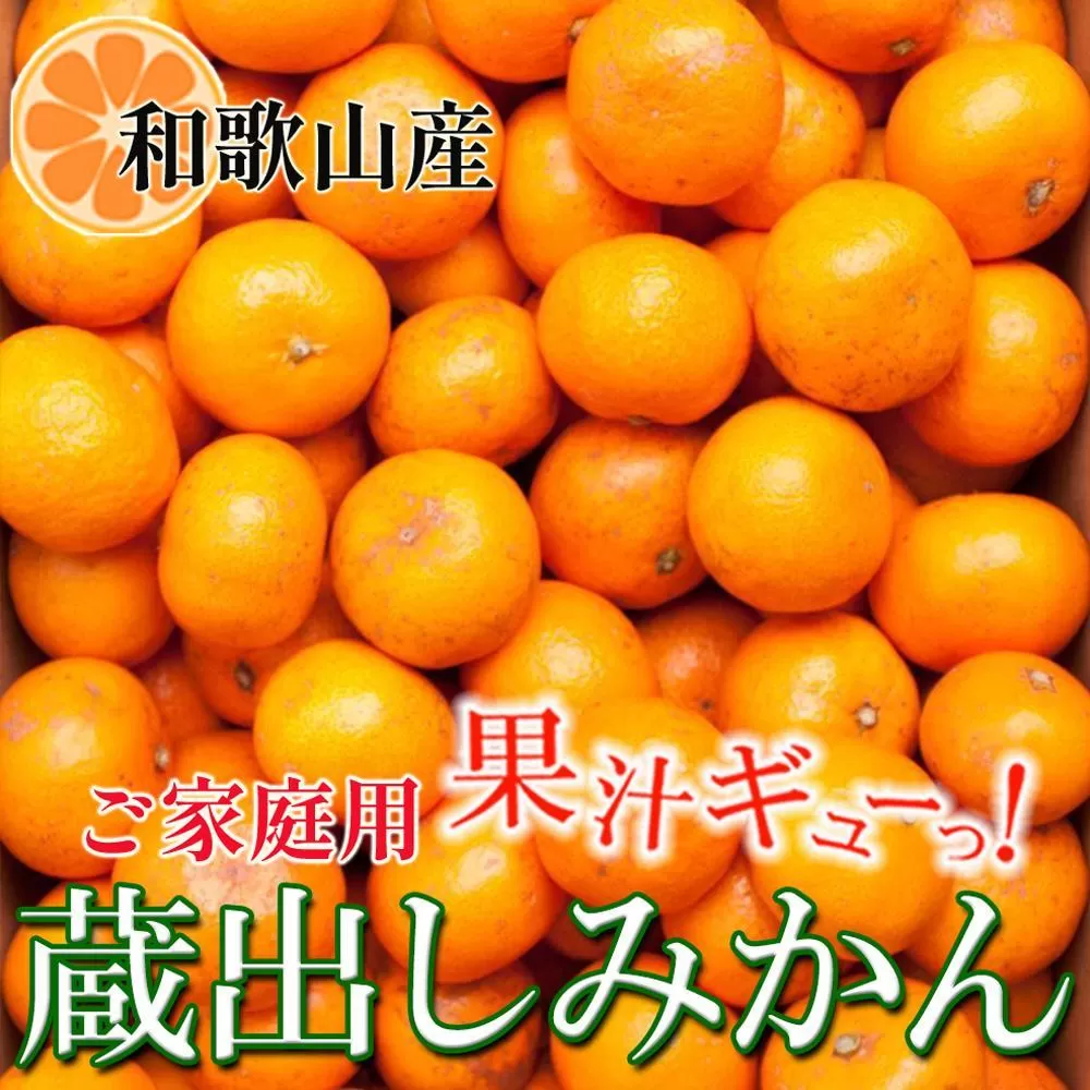 家庭用 蔵出しみかん2.5kg+250g（傷み補償分）［2026年1月中旬から2026年2月下旬頃順次発送予定］［IKE224］