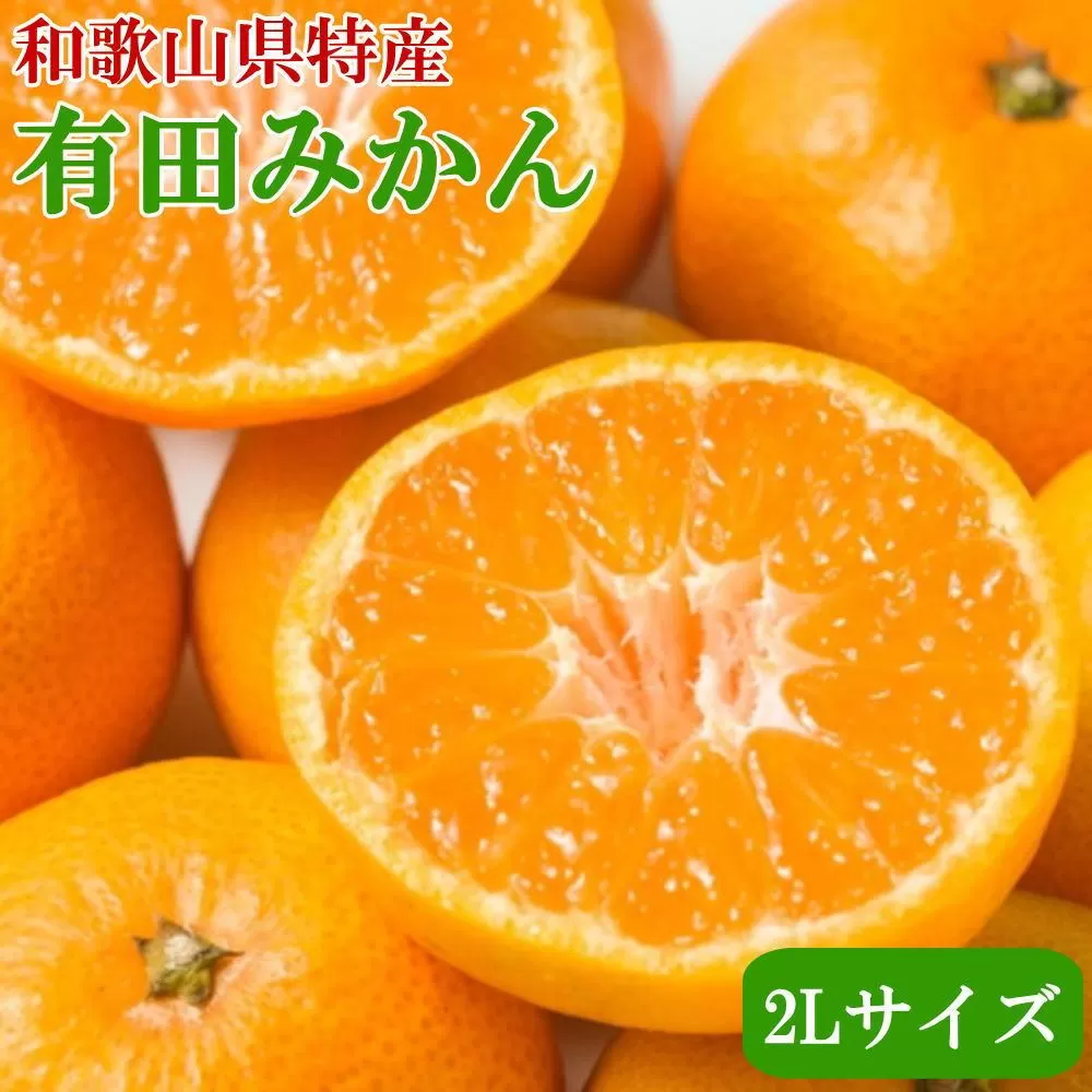 [秀品]和歌山有田みかん約4kg(2Lサイズ) ★2025年11月中旬頃より順次発送［TM199］