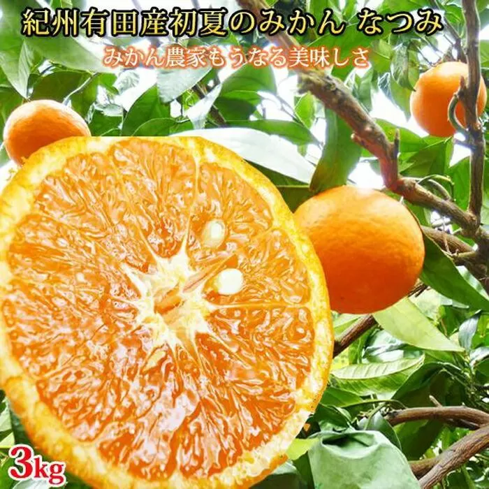 初夏のみかん　なつみ3kg［2026年4月中旬以降発送］［先行予約］［UT56］