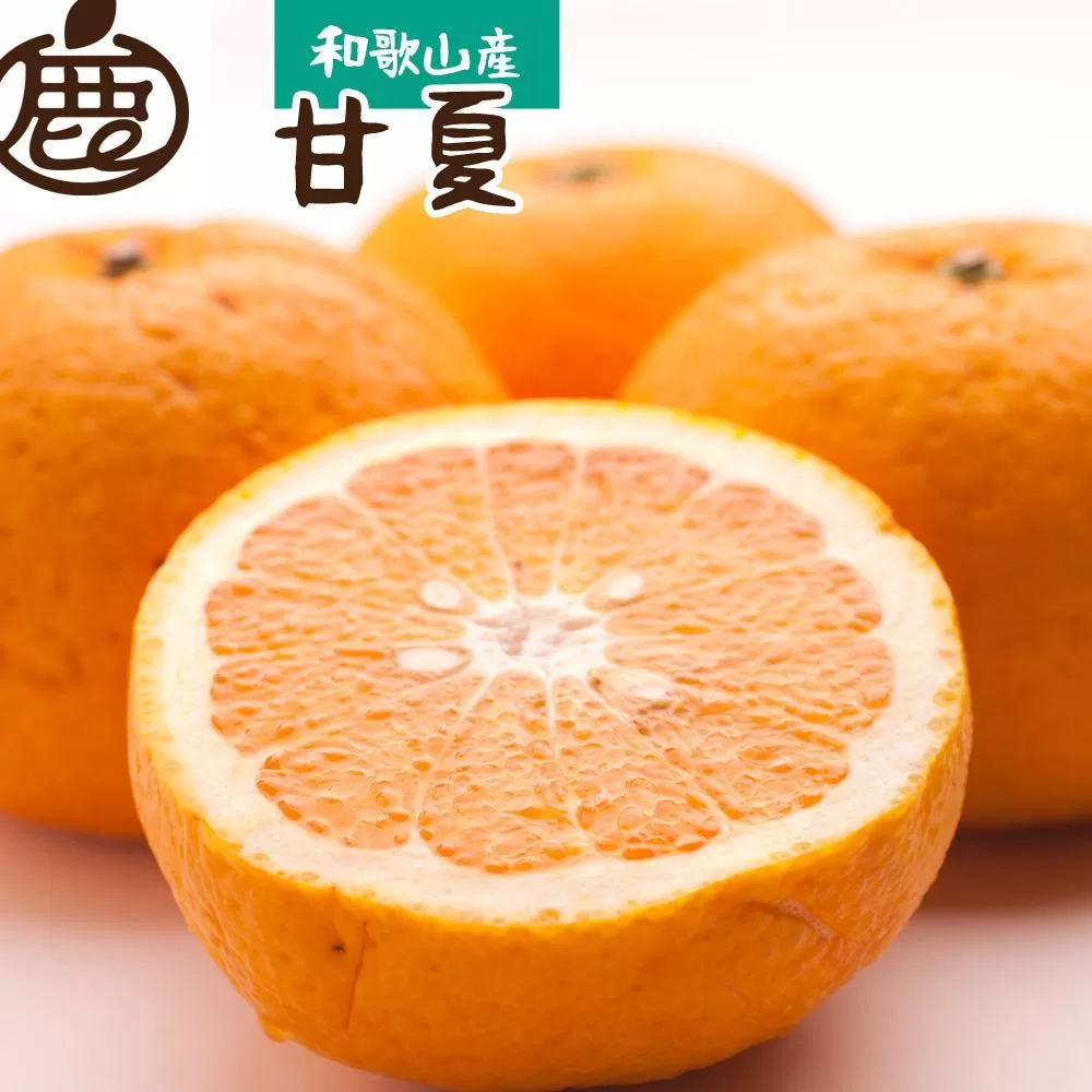 ［先行予約］厳選 甘夏柑10kg+250g（傷み補償分）［初夏のみかん・旬の果物］［有田産］［光センサー食べ頃出荷］［IKE73］