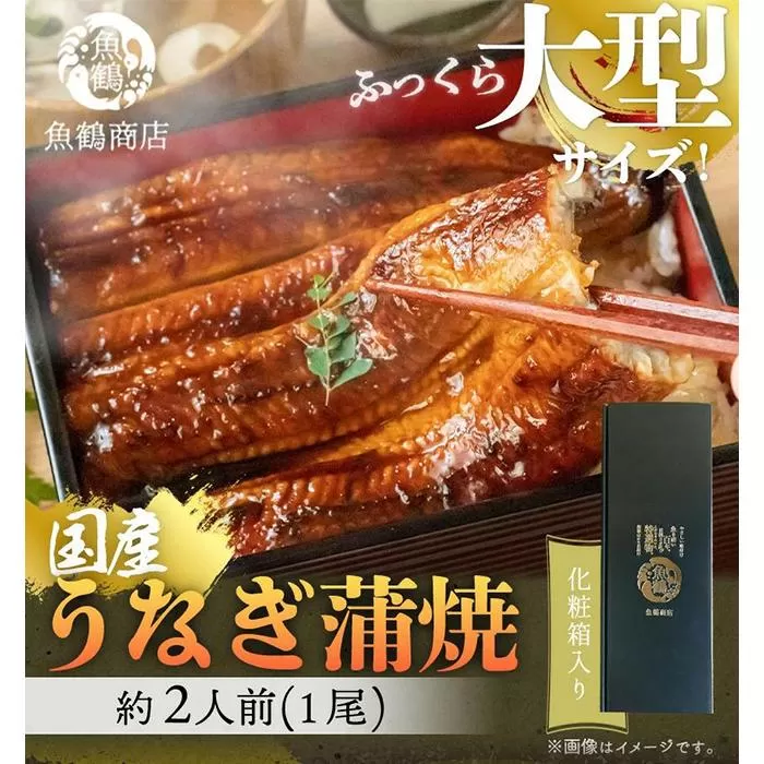 大型サイズ　ふっくら柔らか　国産うなぎ蒲焼き　１尾（約2人前）化粧箱入［夏土用の丑の日のうなぎ］［10月23日までにお届け］［UT04］
