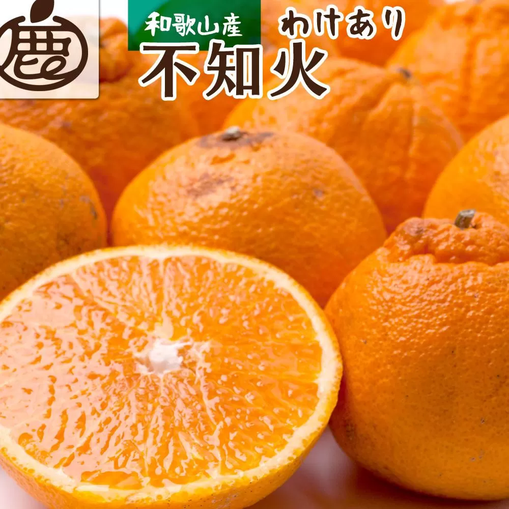 ［先行予約］家庭用 不知火1kg+250g（傷み補償分）［デコポンと同品種・人気の春みかん］［わけあり・訳あり］［IKE121］