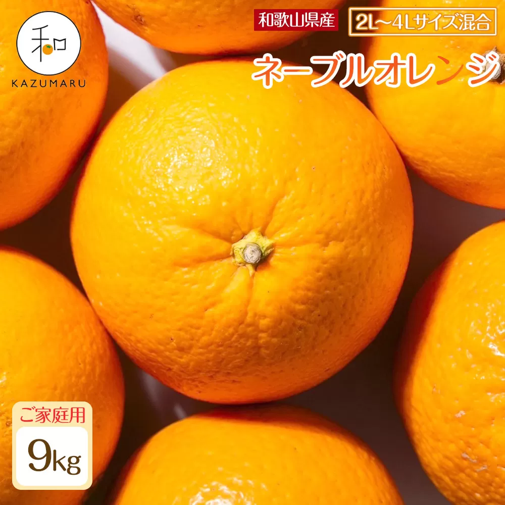 家庭用 森本農園の手選別 大玉ネーブルオレンジ 約9kg 和歌山県産 2L~4Lサイズ混合 ［北海道・沖縄・離島配送不可］［2027年1月上旬から順次発送］［RN107］