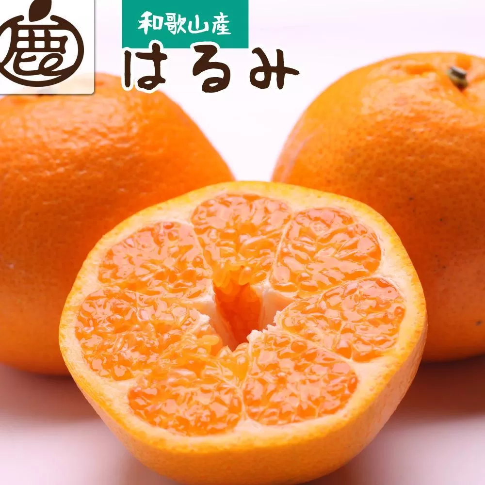［先行予約］厳選 はるみ1kg+250g（傷み補償分）［デコポンの姉妹品種・新食感春みかん］［光センサー選別］［IKE220］
