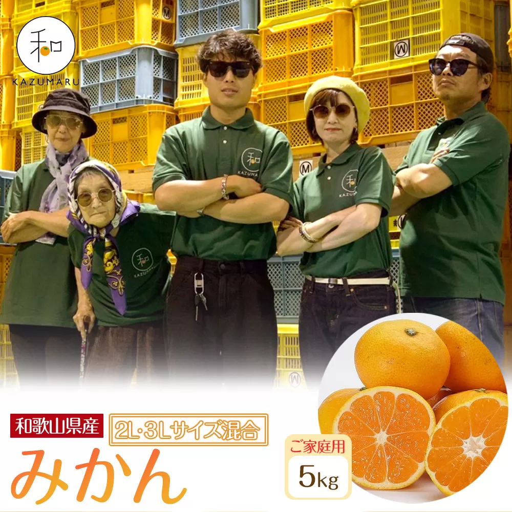 家庭用 森本農園の手選別 大玉みかん 約5kg 和歌山県産 2L・3Lサイズ混合 ［北海道・沖縄・離島配送不可］［2025年11月上旬から順次発送］［RN80］