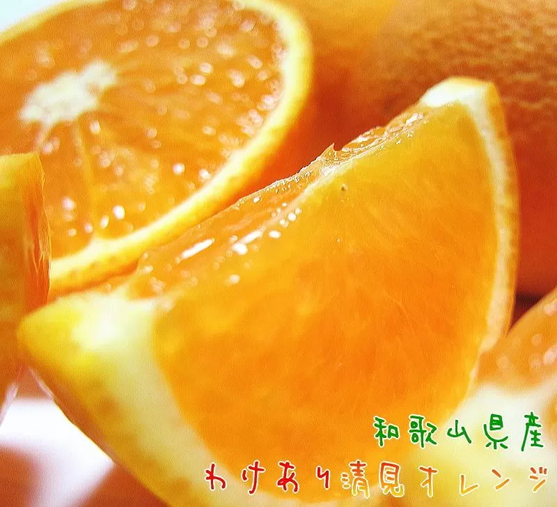 有田育ちの 完熟 清見 オレンジ（ご家庭用）約5kg［先行予約］［MS33］