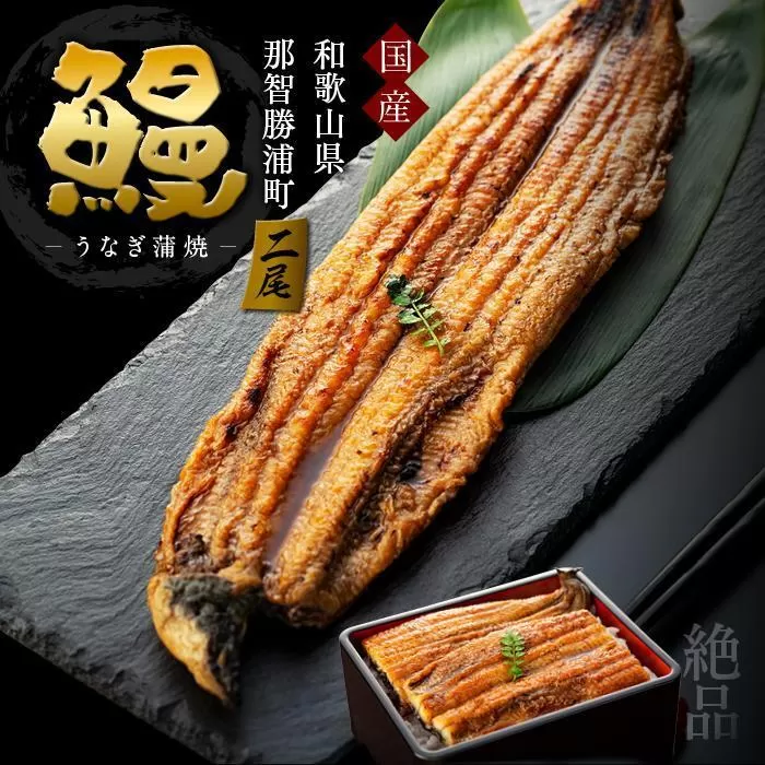 【ギフト用】国産活鰻を地元の醤油で仕上げた絶品のうなぎ蒲焼(2尾）