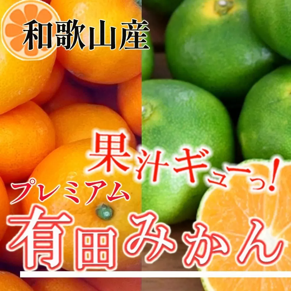 プレミアム 有田みかん10kg+250g（傷み補償分）［2025年10月上旬から2026年1月下旬頃順次発送予定］［IKE249］