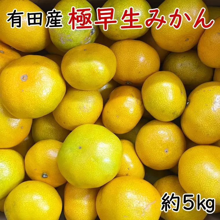 有田産極早生みかん約5kg（サイズ混合）★2025年10月中旬頃より順次発送［TM200］