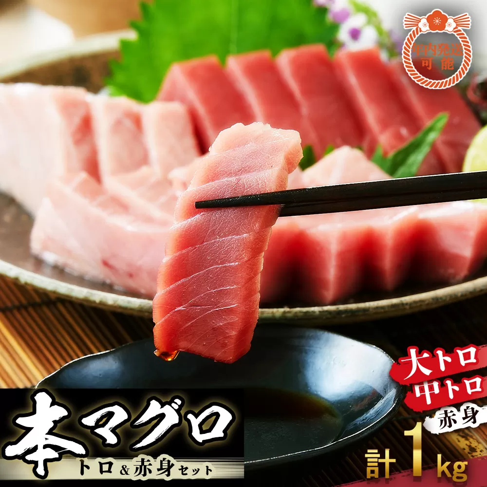 【12月末まで限定寄付額】【年内発送可】本マグロ トロ+赤身セット 1kg | 【年末年始お届け可能】大トロ 中トロ 鮪 刺身 寿司 海のダイヤ クロマグロ 人気