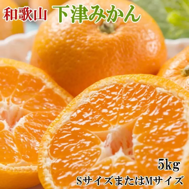 【産直・秀品】和歌山下津みかん約5kg(SサイズまたはMサイズのいずれかをお届け) ★2025年11月中旬頃より順次発送【TM73】
