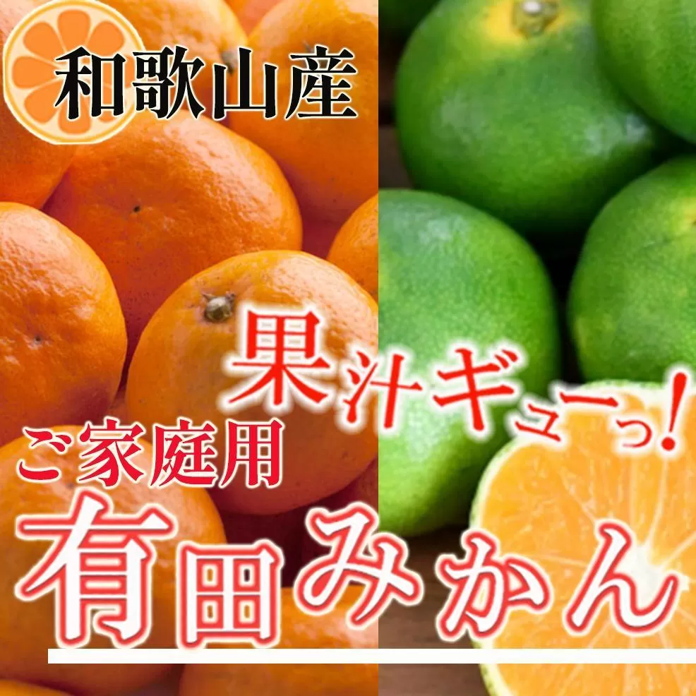 家庭用 有田みかん10kg+250g（傷み補償分）［2025年10月上旬から2026年1月下旬頃順次発送予定］［IKE252］