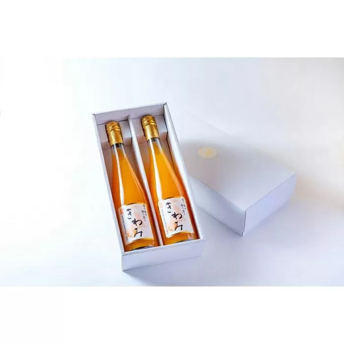 きわみ みかんジュース 500ml × 2本 入り ギフトセット【mao5】