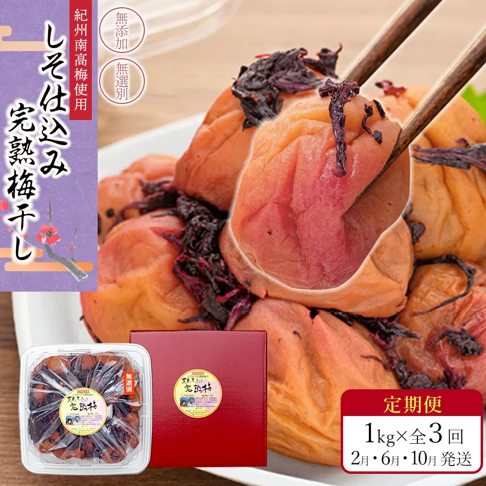 【定期便（2月・6月・10月）全3回お届け】 紀州南高梅使用 しそ仕込み完熟梅干し 無選別1kg ［TM214］