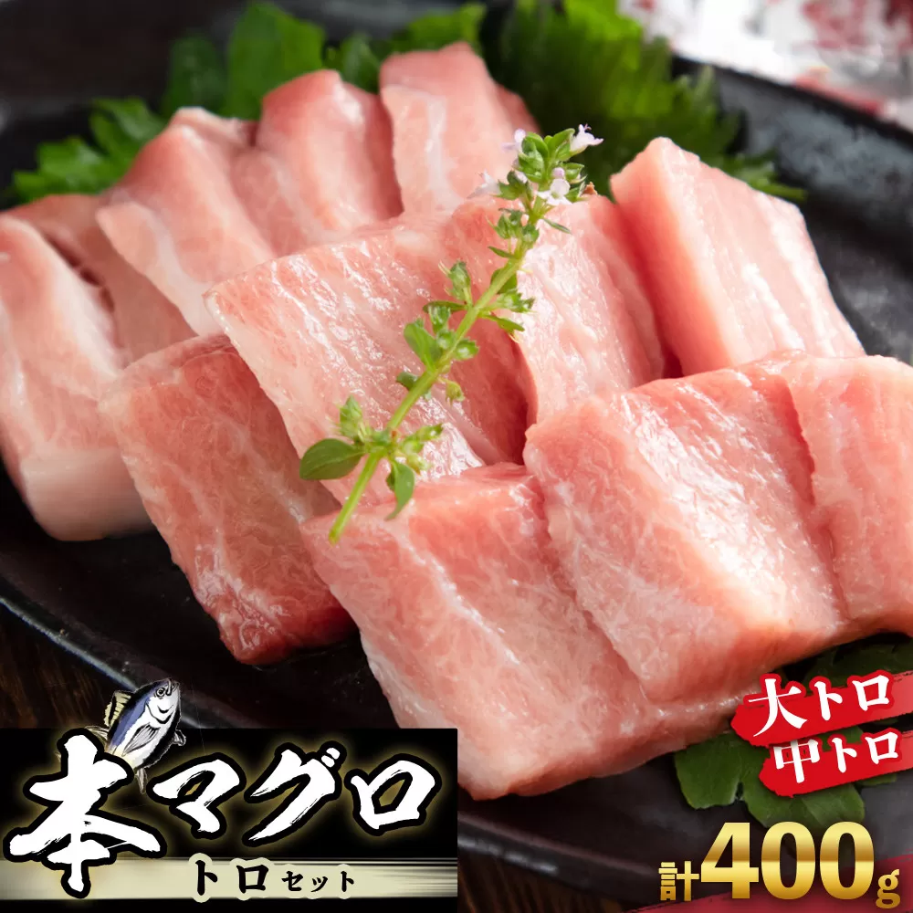 本マグロ トロセット 400g | 【年末年始お届け可能】大トロ 中トロ 鮪 刺身 寿司 お正月