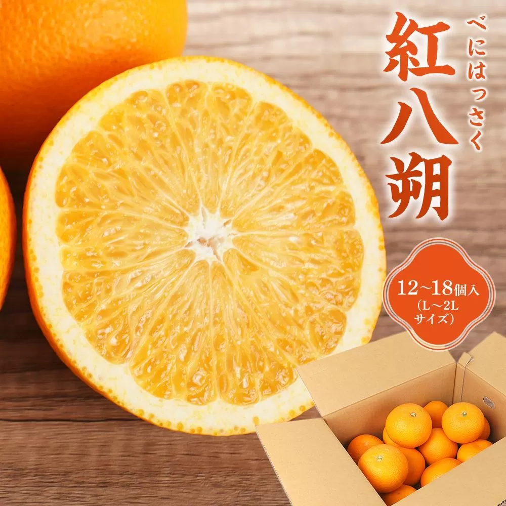 先行予約！希少な紅はっさく 12～18個入り（L～2Lサイズ）［2026年1月中旬頃から発送］［KG9］