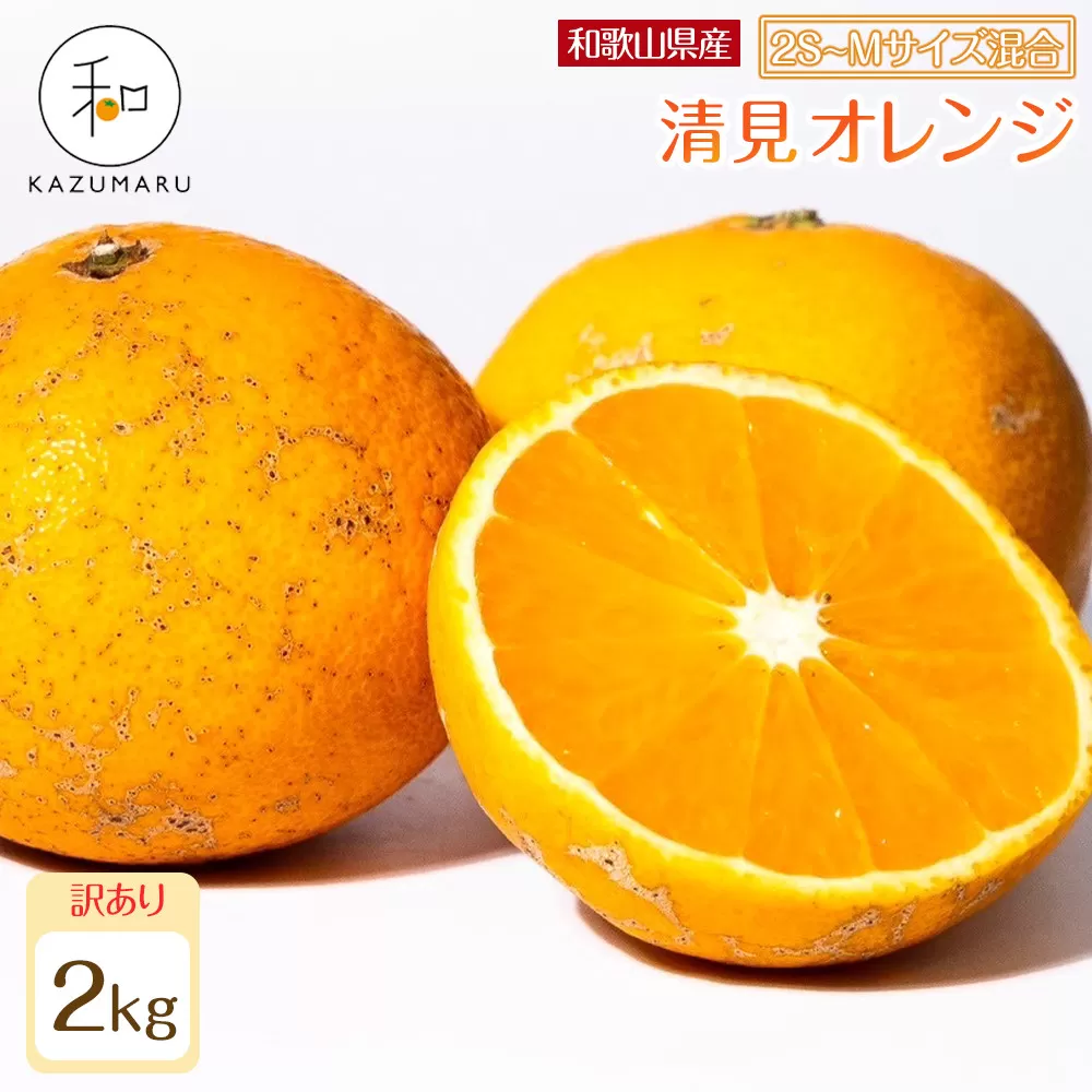 訳あり 森本農園の手選別 小粒清見オレンジ 約2kg 和歌山県産 2S〜Mサイズ混合 ［北海道・沖縄・離島配送不可］［2026年2月上旬から5月中旬頃順次発送予定］［RN96］